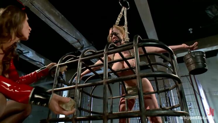 [WhippedAss] - Ariel Carmine Takes Charge: Anal Domination with Dee Williams - Dee Williams - Ariel Carmine