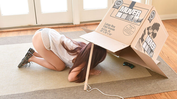 [ExxxtraSmall] - Small Size Thief Gets Caught