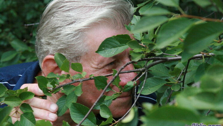 [Oldje] - Natural Tits Boobarella