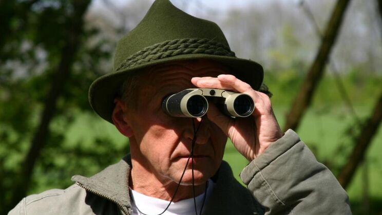 [Oldje] - Lucky Old Young Forest Encounter - Doug - Maya Brown