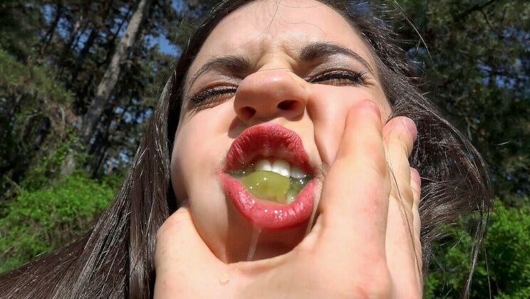 Free the Tits: Busty Chick's Picnic