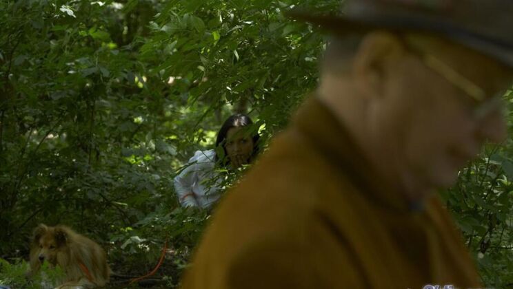 Outdoor Sex with Brunette Ally Style