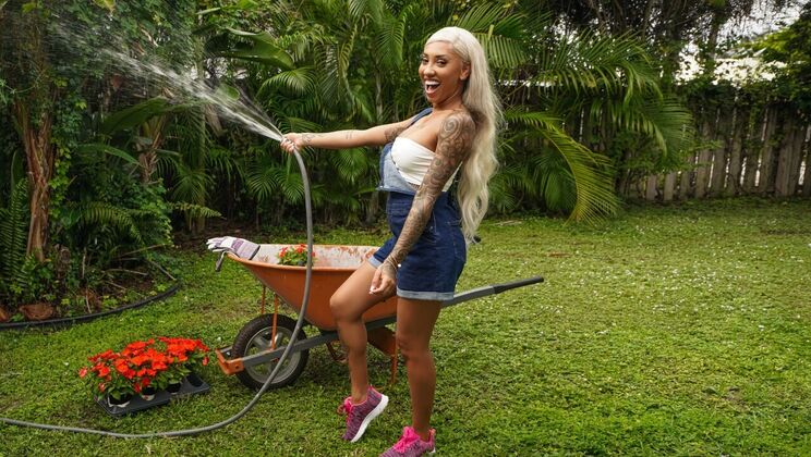 Shaved Pussy Gardening